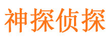 山亭调查取证